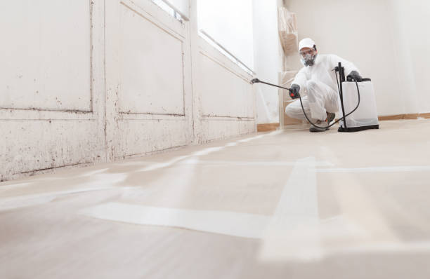 24/7 Emergency Commercial Mold Remediation experts in Woodbridge, VA