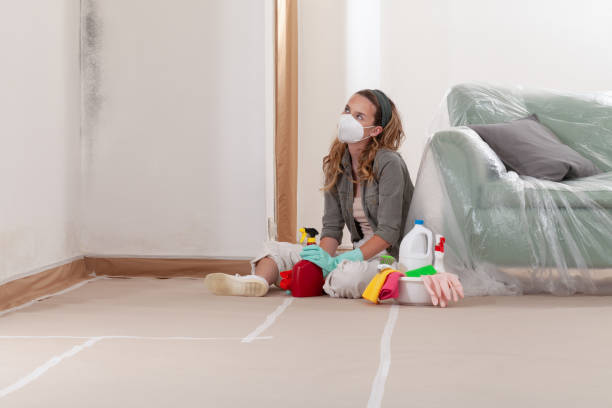 Reliable Commercial Mold Remediation contractor in Woodbridge, VA by WQB Mold Removal