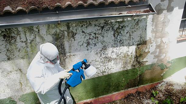 Top rated local Commercial Mold Remediation specialists in Woodbridge, VA